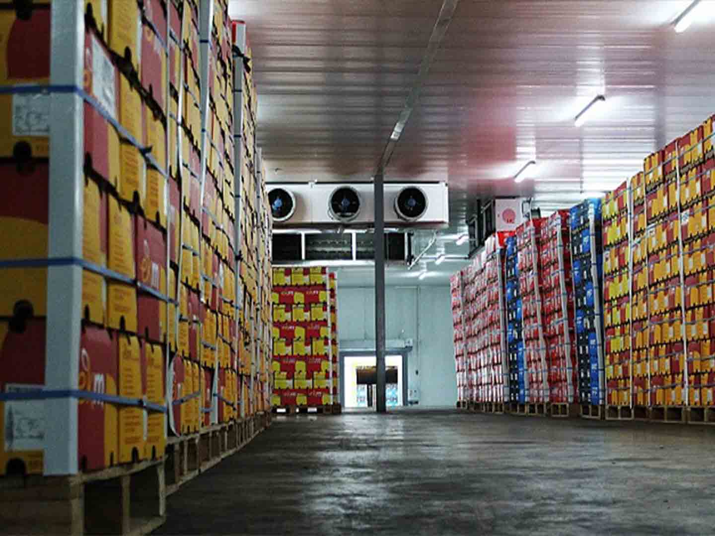 قفسه بندی مواد غذایی